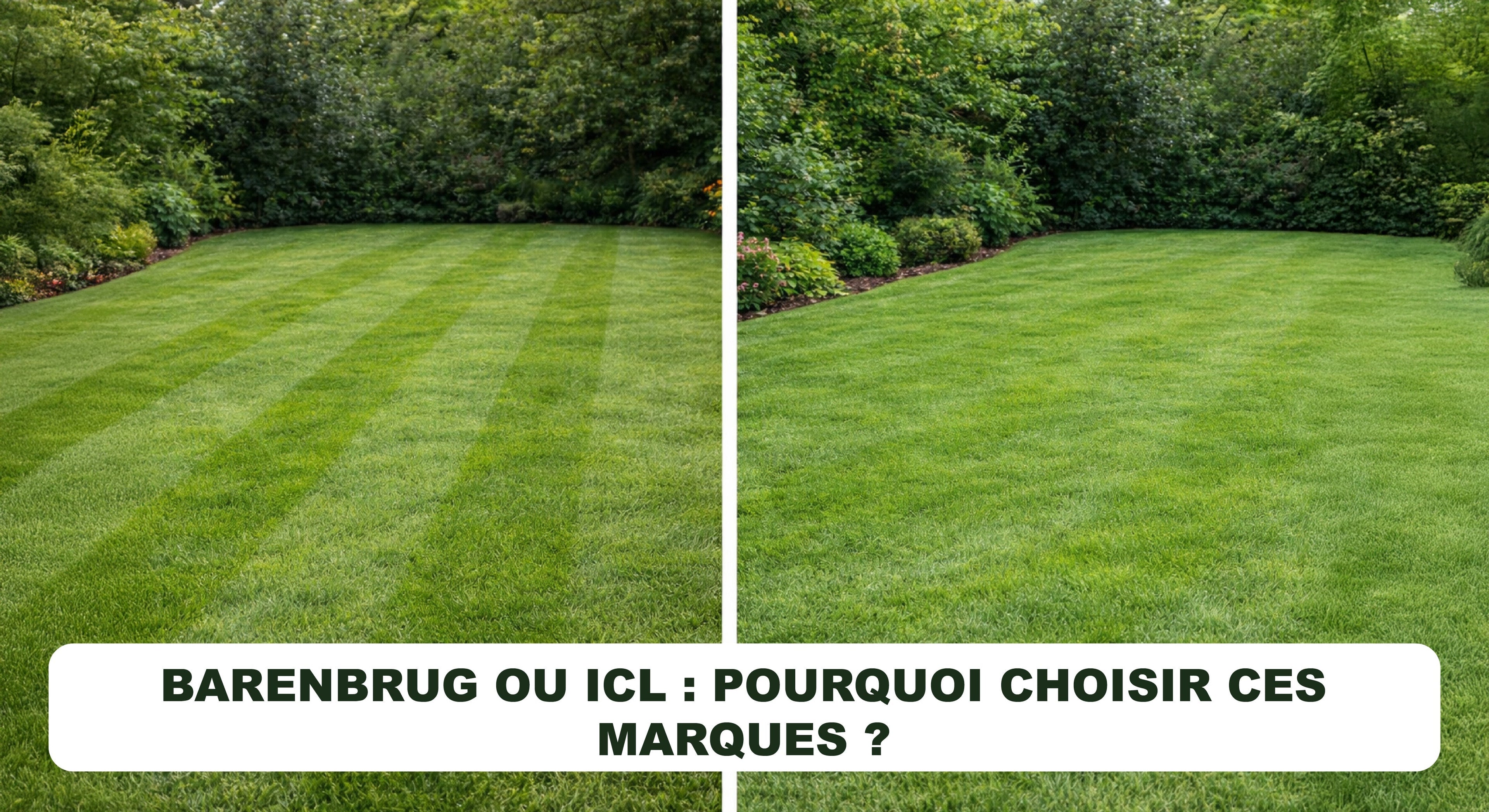 Barenbrug ou ICL : pourquoi choisir ces marques ?