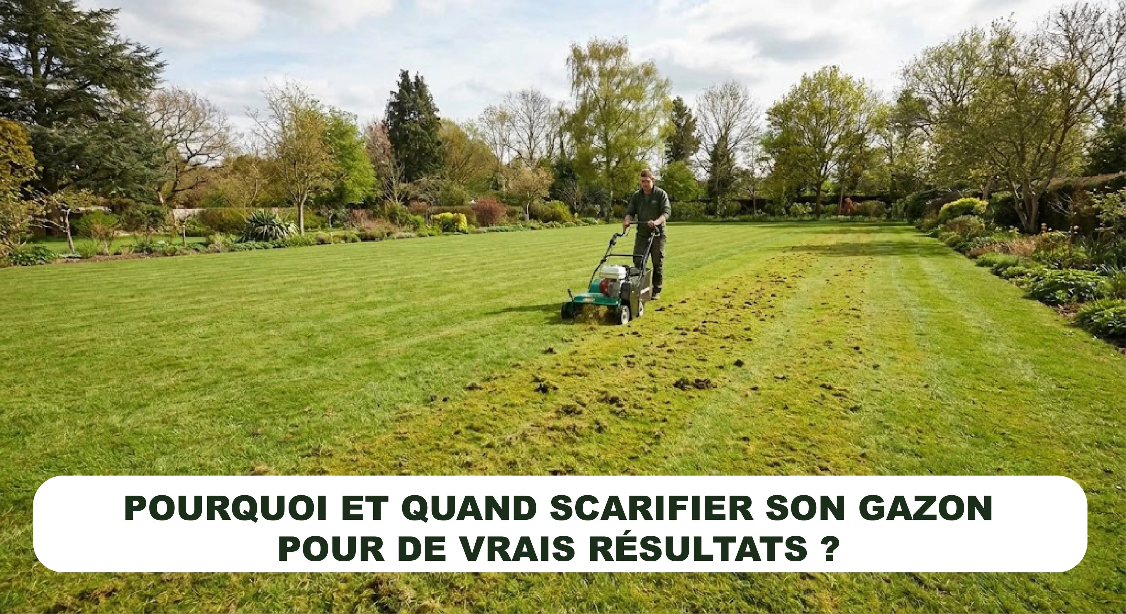 Pourquoi et quand scarifier son gazon pour de vrais résultats ?