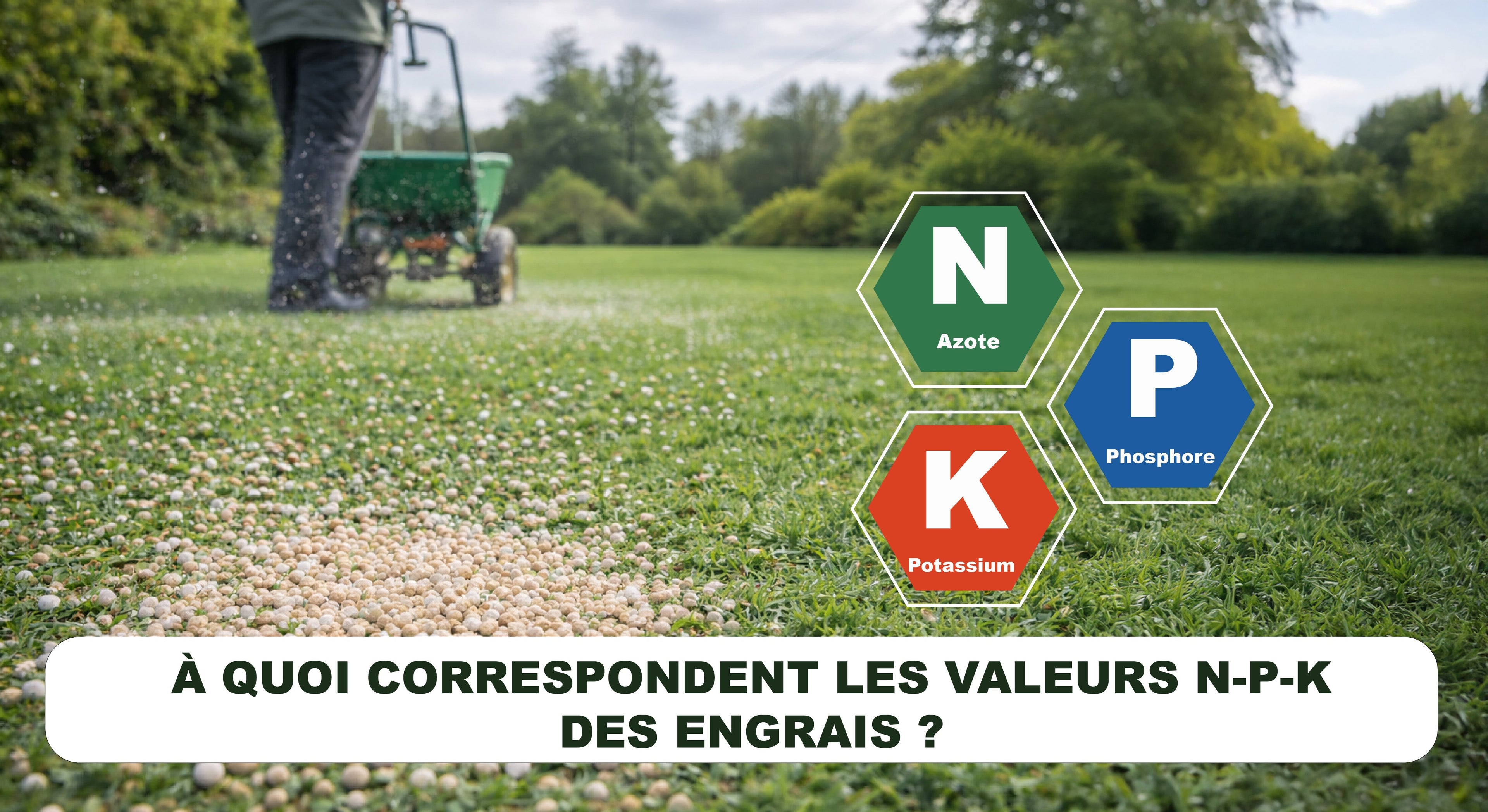 À quoi correspondent les valeurs N-P-K des engrais ?