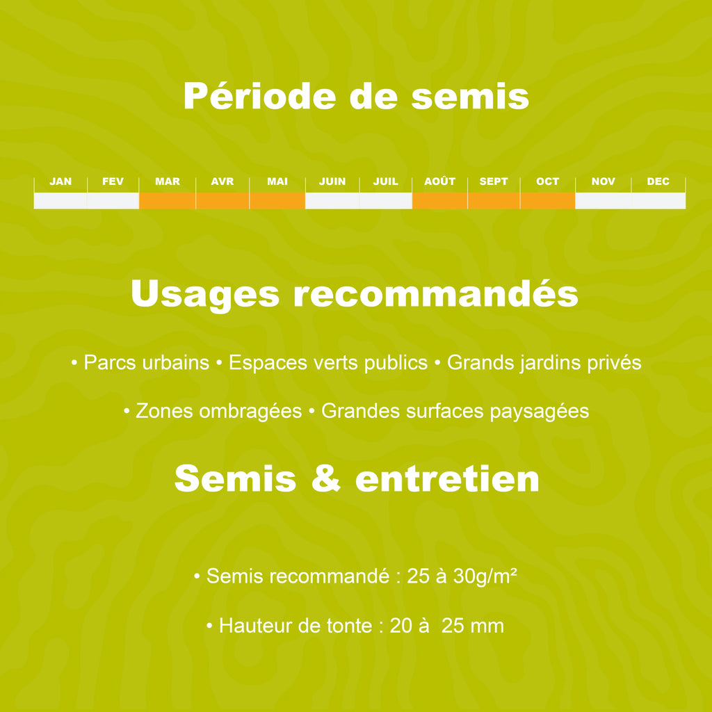 Calendrier de semis pour gazon professionnel grands espaces avec périodes idéales de plantation et conseils dentretien
