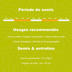 Calendrier de semis pour gazon professionnel grands espaces avec périodes idéales de plantation et conseils dentretien
