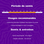 Période de semis et conseils d’entretien pour les semences de gazon professionnel Barenbrug Pro 12