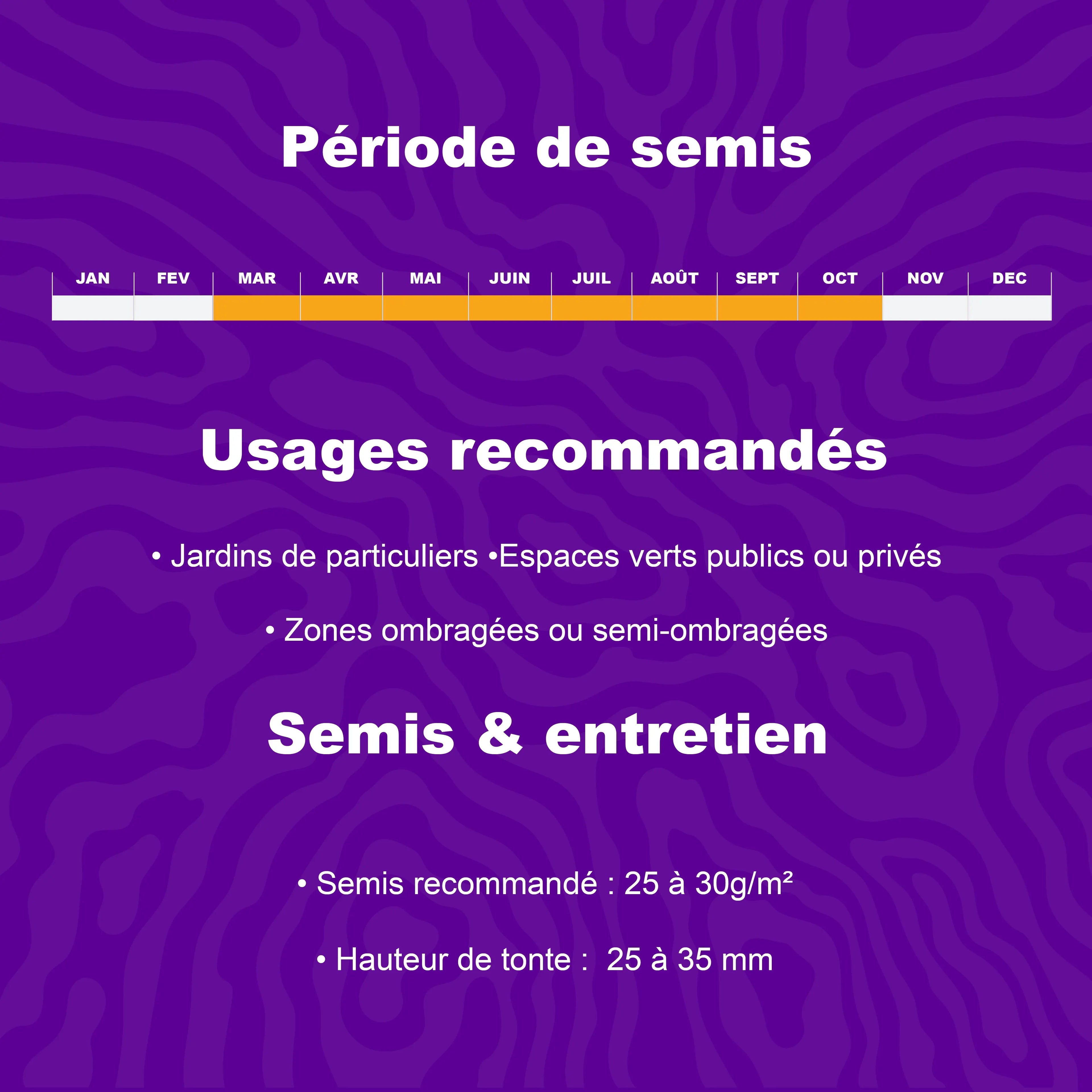Période de semis et conseils d’entretien pour les semences de gazon professionnel Barenbrug Pro 12