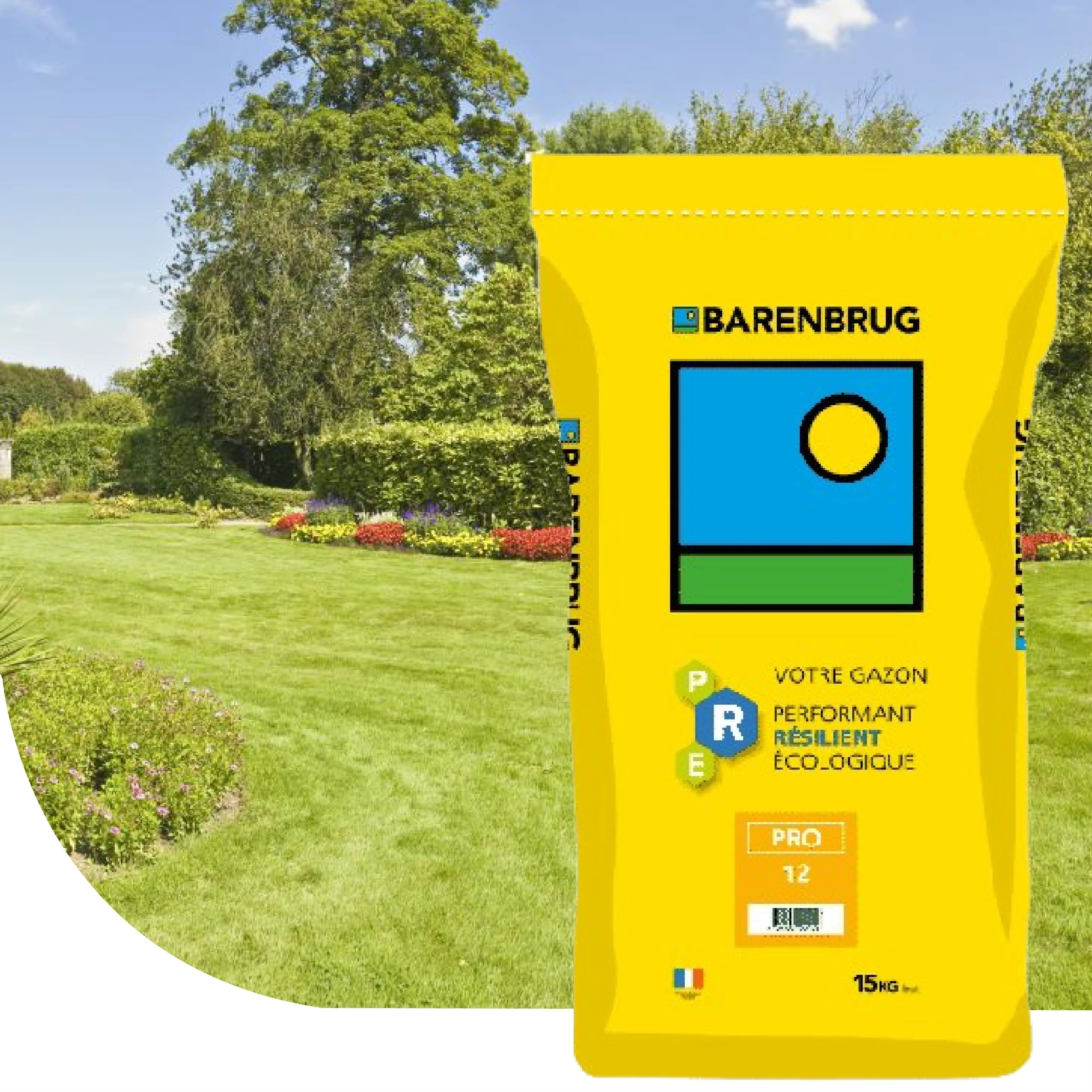 Semences de gazon professionnel Barenbrug Pro 12 pour une pelouse dense et résistante