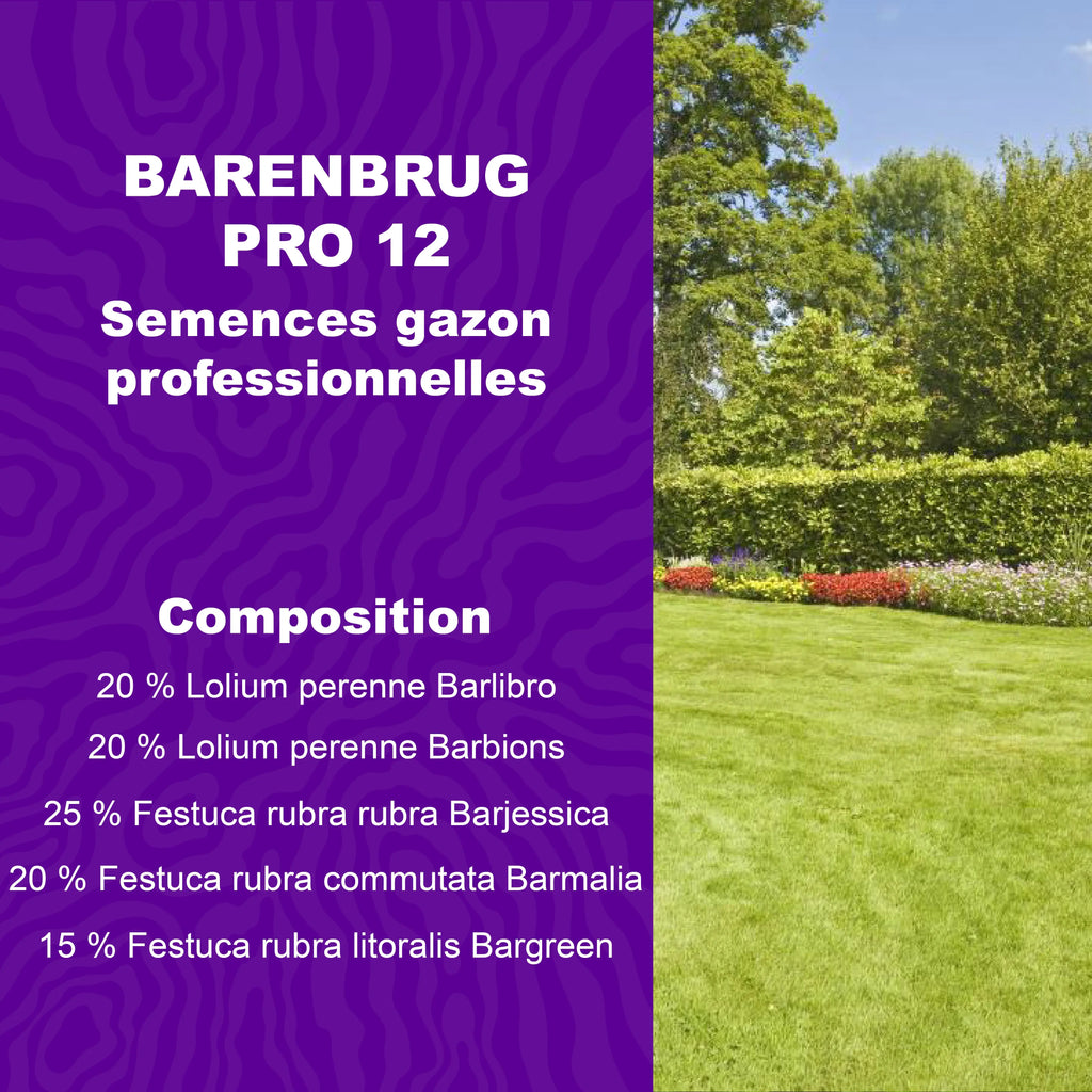Semences de gazon professionnel Barenbrug Pro 12 avec composition détaillée pour pelouse résistante