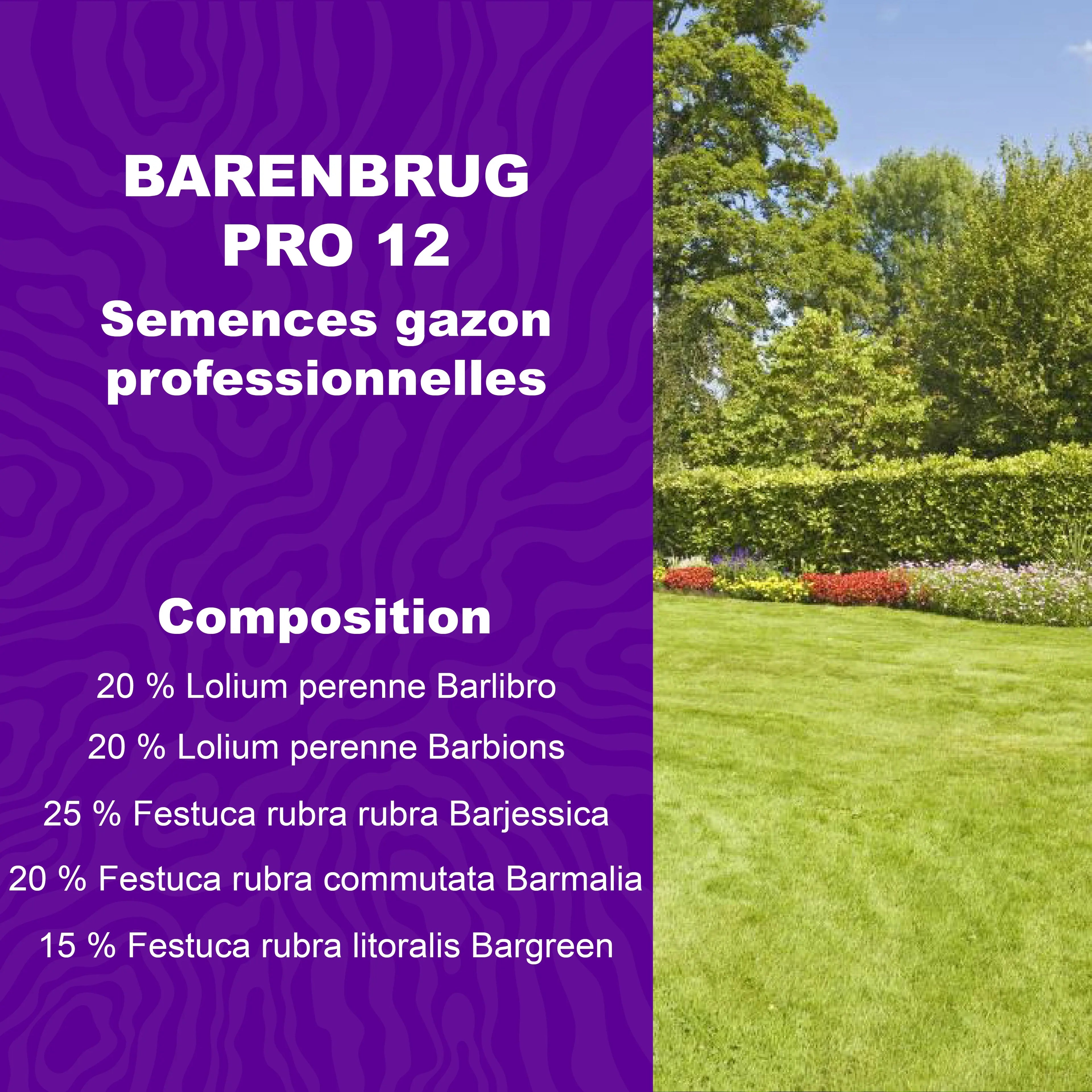 Semences de gazon professionnel Barenbrug Pro 12 avec composition détaillée pour pelouse résistante
