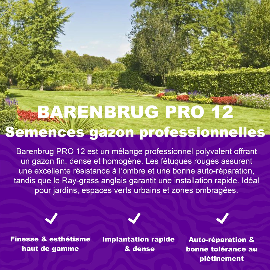 Présentation des semences de gazon professionnel Barenbrug Pro 12 pour une pelouse dense, esthétique et résistante