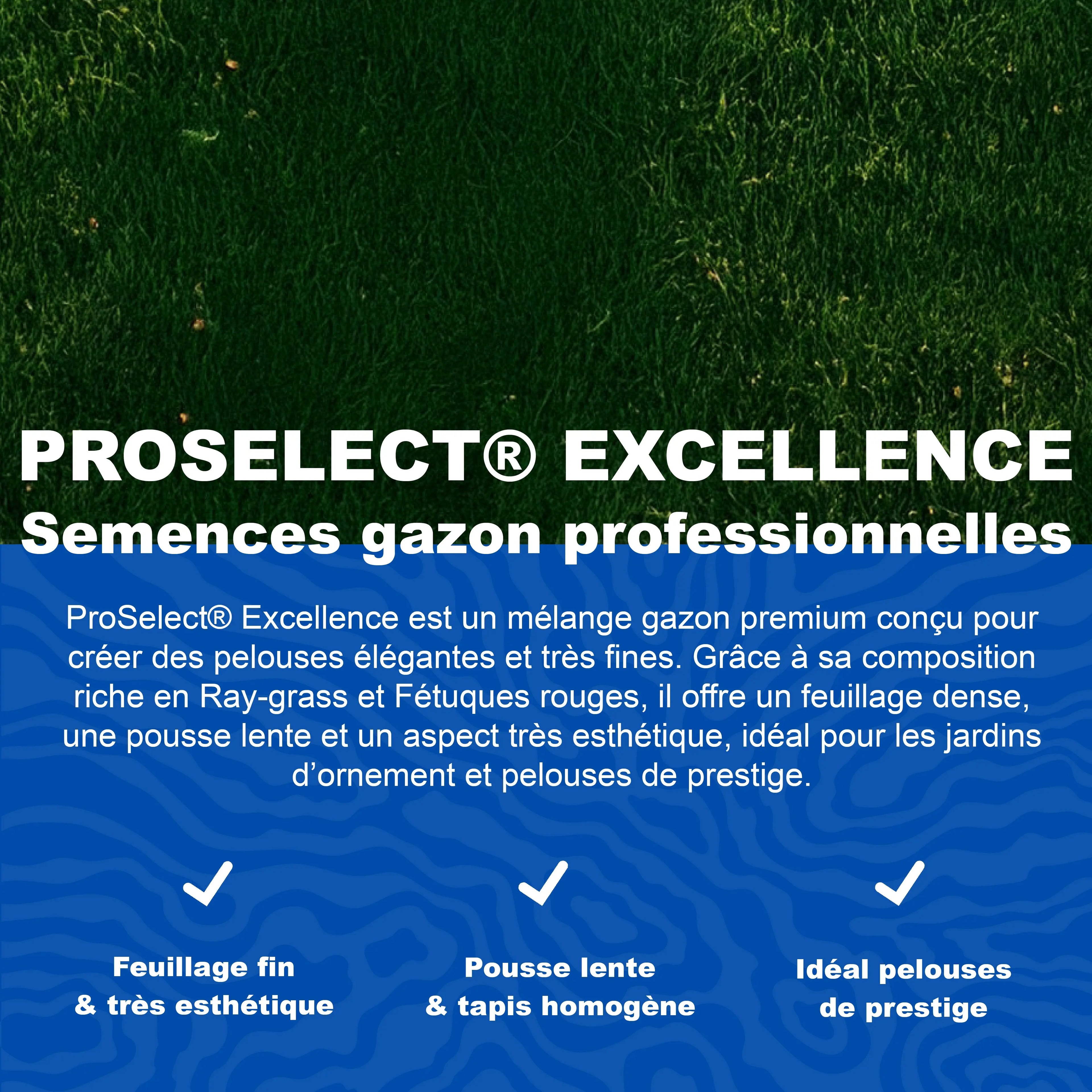 Présentation des semences de gazon professionnelles ICL ProSelect Excellence pour pelouse dense esthétique et de prestige