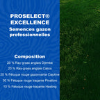 Semences de gazon professionnelles ICL ProSelect Excellence pour pelouse dense esthétique et durable