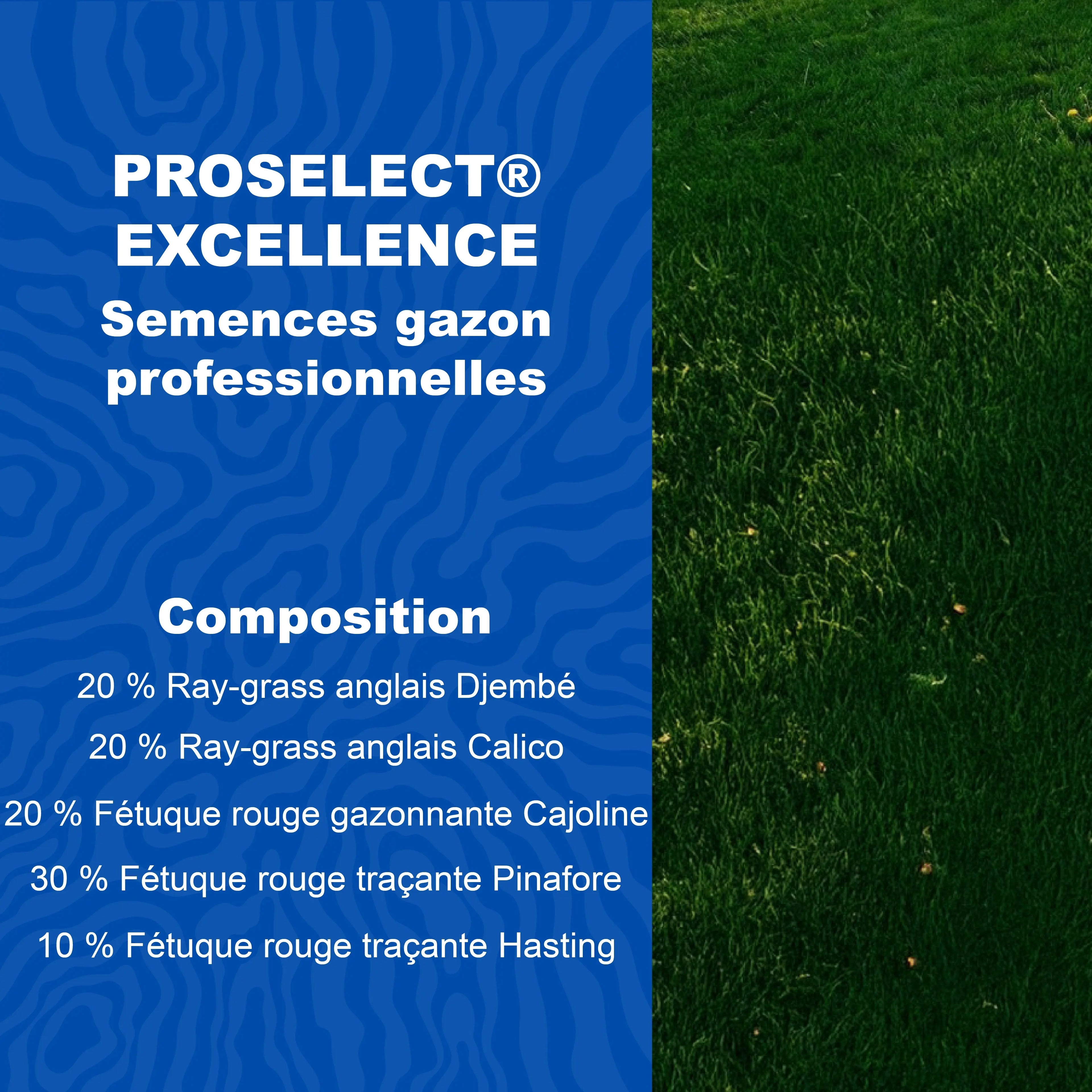 Semences de gazon professionnelles ICL ProSelect Excellence pour pelouse dense esthétique et durable