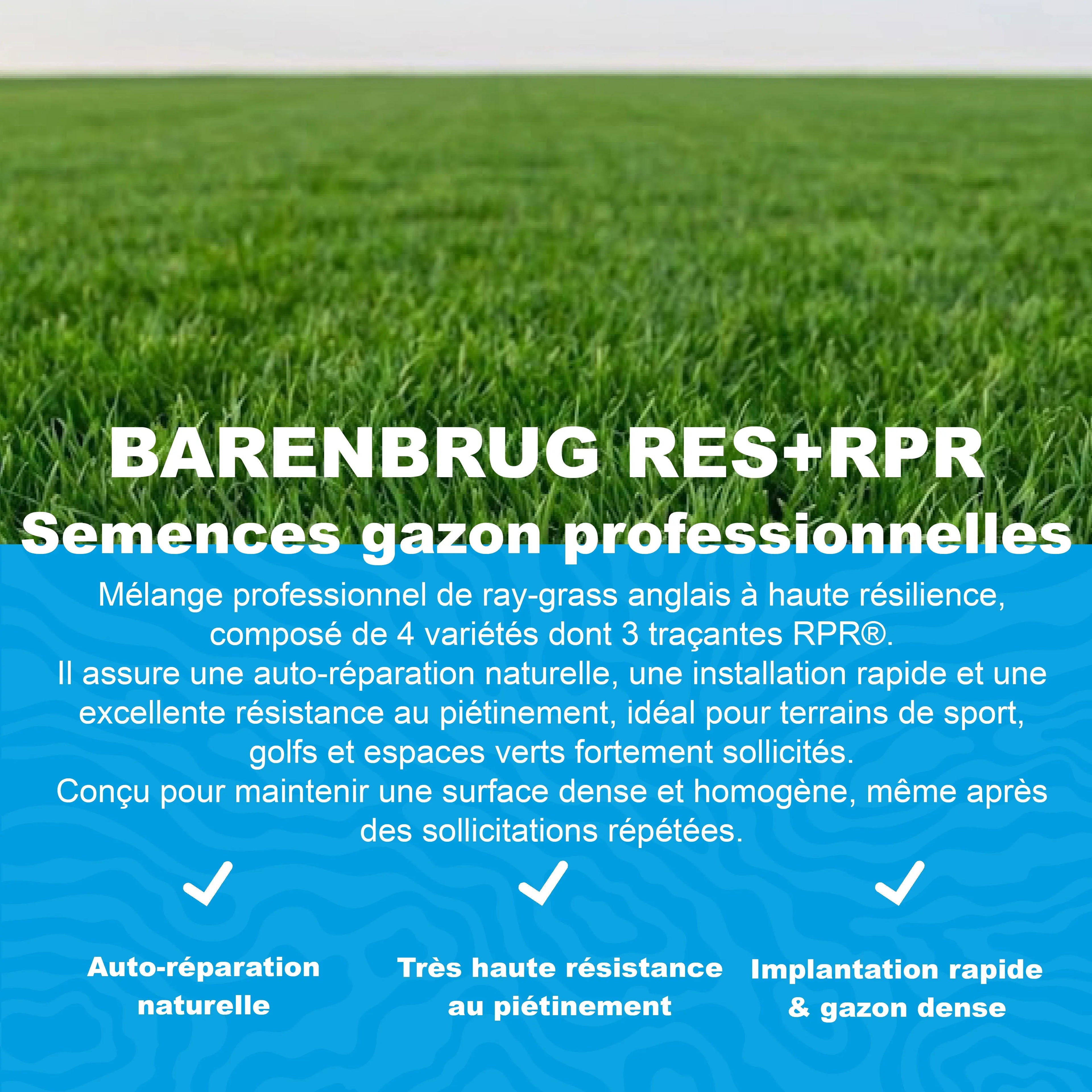 Semences gazon Barenbrug RES RPR ray grass anglais haute resilience auto reparation usage professionnel
