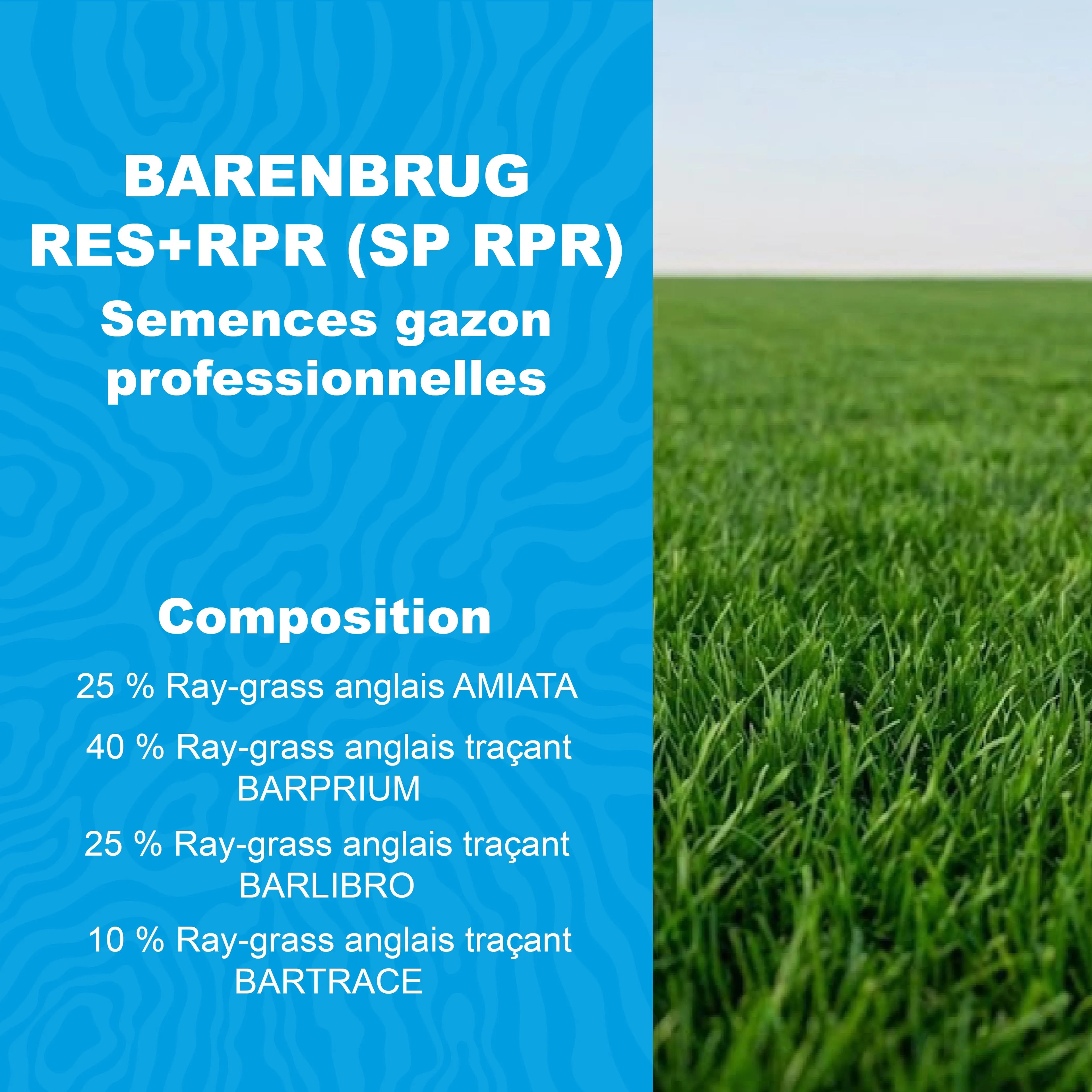 Semences gazon Barenbrug RES RPR SP RPR ray grass anglais tracant usage professionnel
