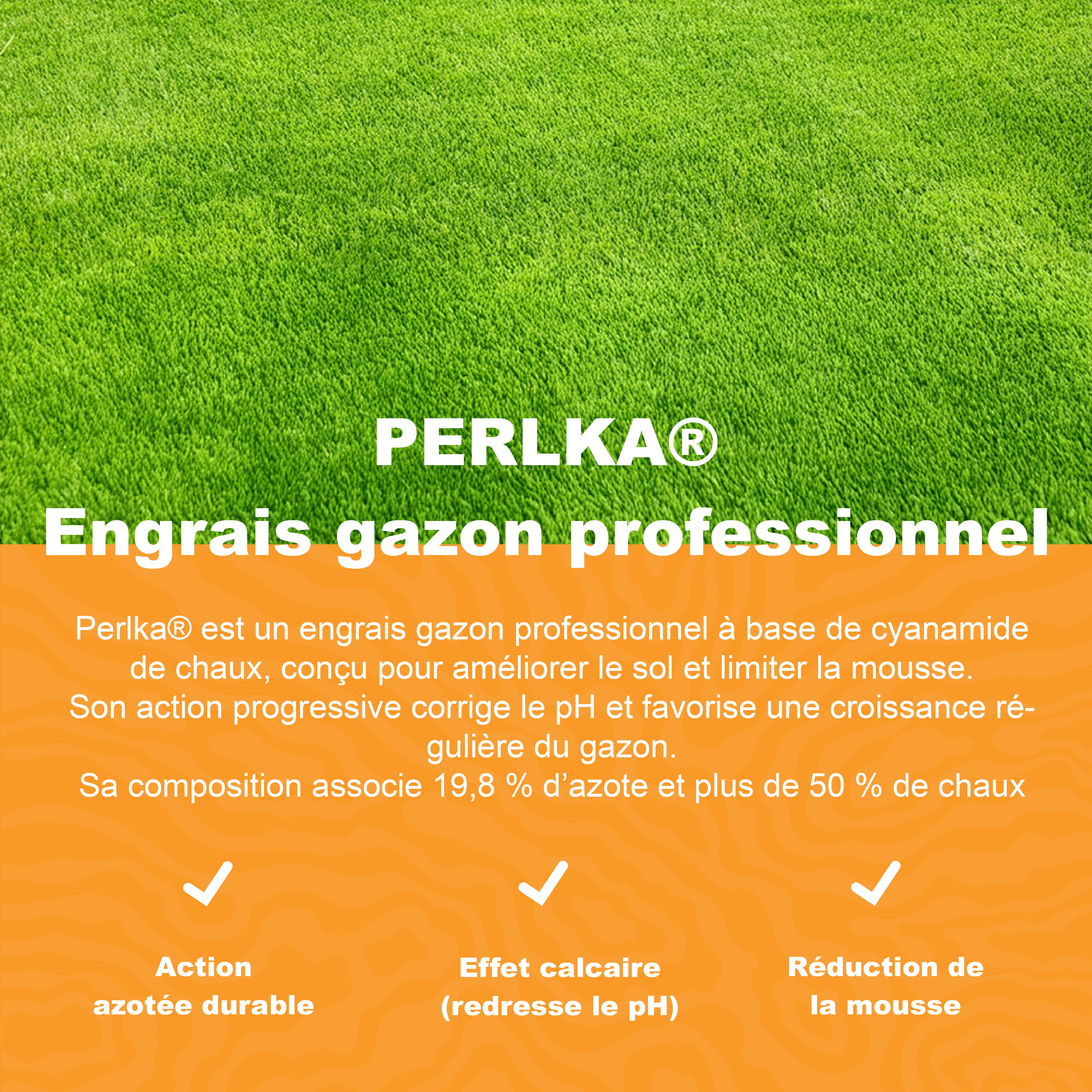 Avantages du Perlka – engrais gazon professionnel à base de cyanamide de chaux, action anti-mousse et correction du pH
